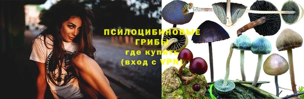 экстази Кукмор